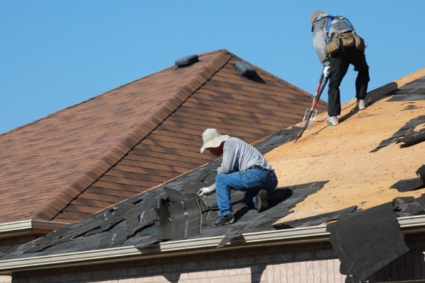 Professional Roofing Contractors
